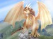 Draco-dragonheart-and-dragonheart-2-16449627-800-600[1]